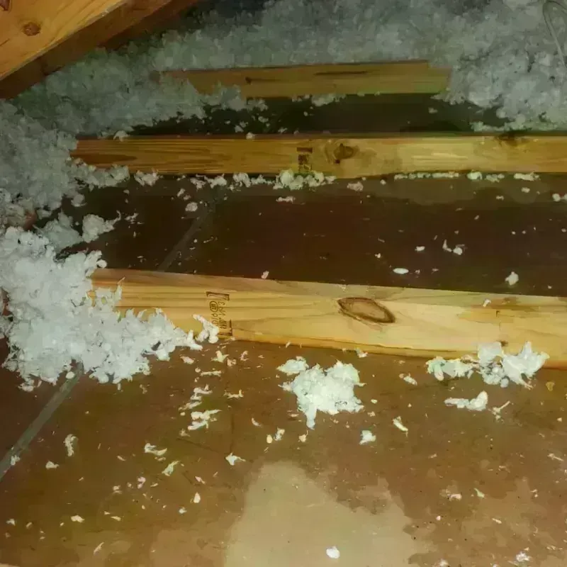 Attic Water Damage in Barrow County, GA