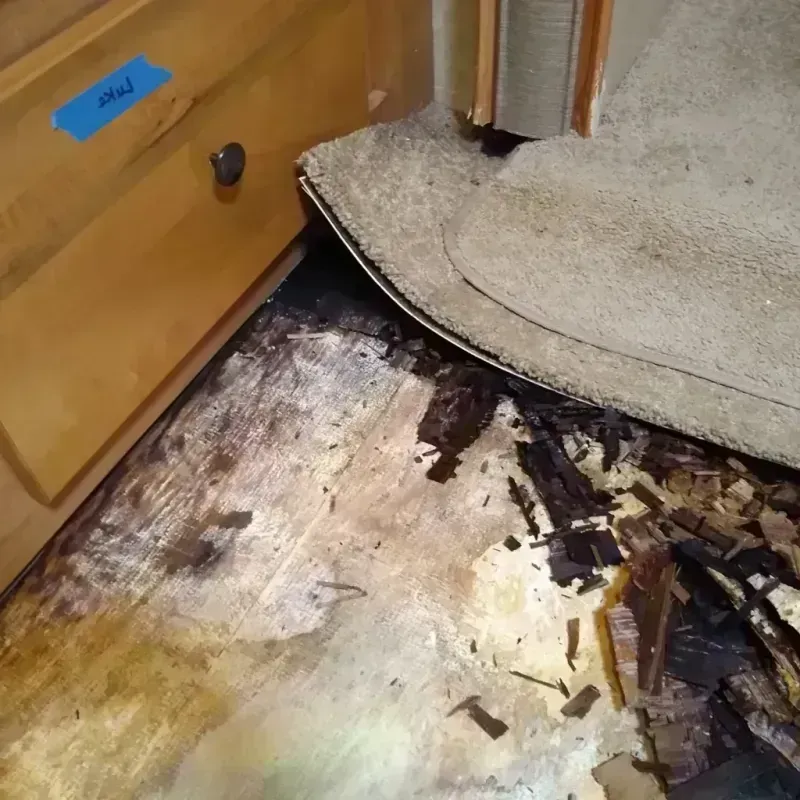 Wood Floor Water Damage in Barrow County, GA